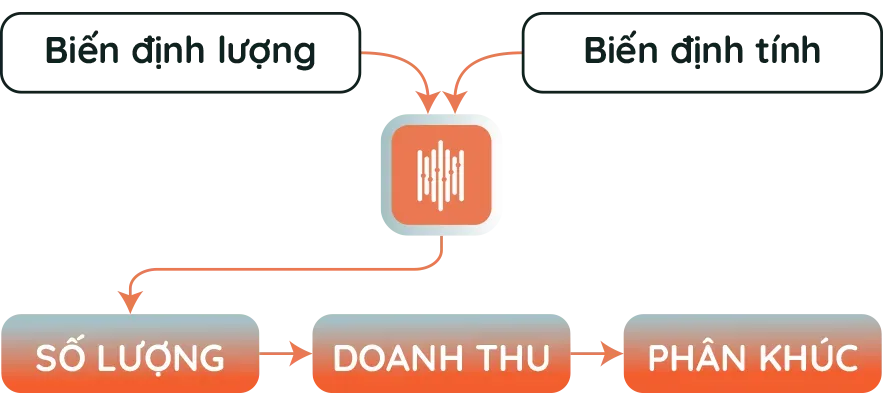 Phân loại biến định lượng và biến định tính
