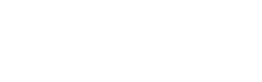 Petrovietnam