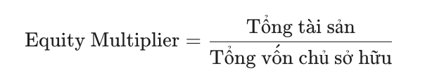Equity Multiplier