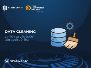 Data Cleaning là gì
