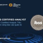 IBCS Certified Analyst