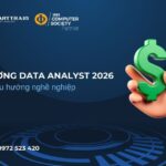 lương data analyst