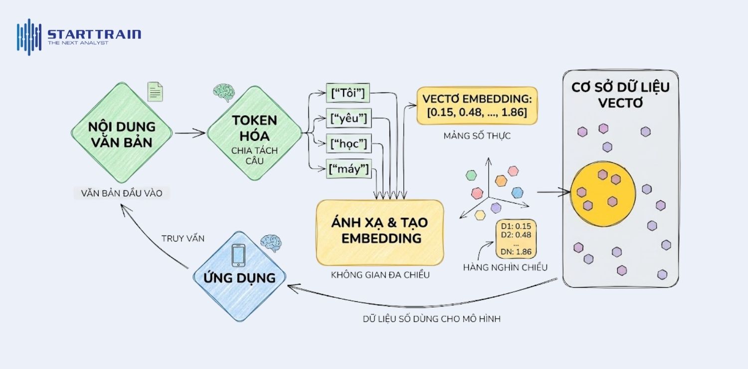 Tokenization & Mapping