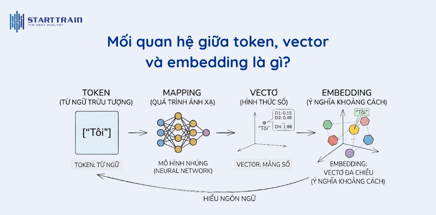 Mối quan hệ giữa token, vector và embedding