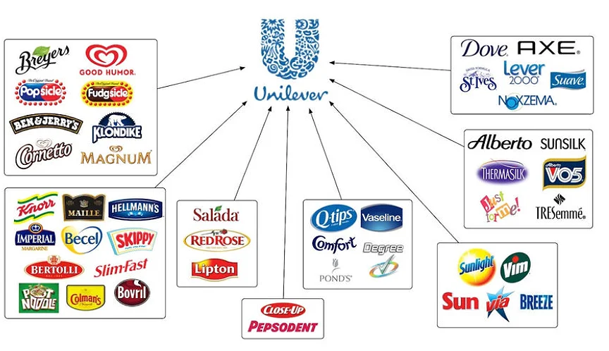 SWOT Unilever
