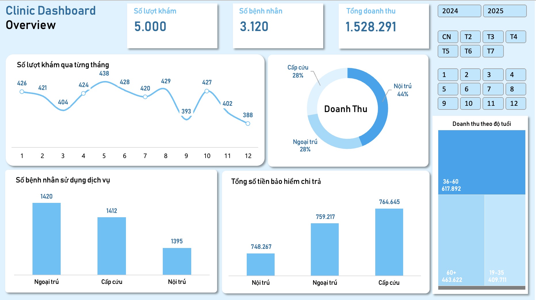 Dashboard Template: Clinic Dashboard Overview