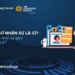 hồ sơ nhân sự